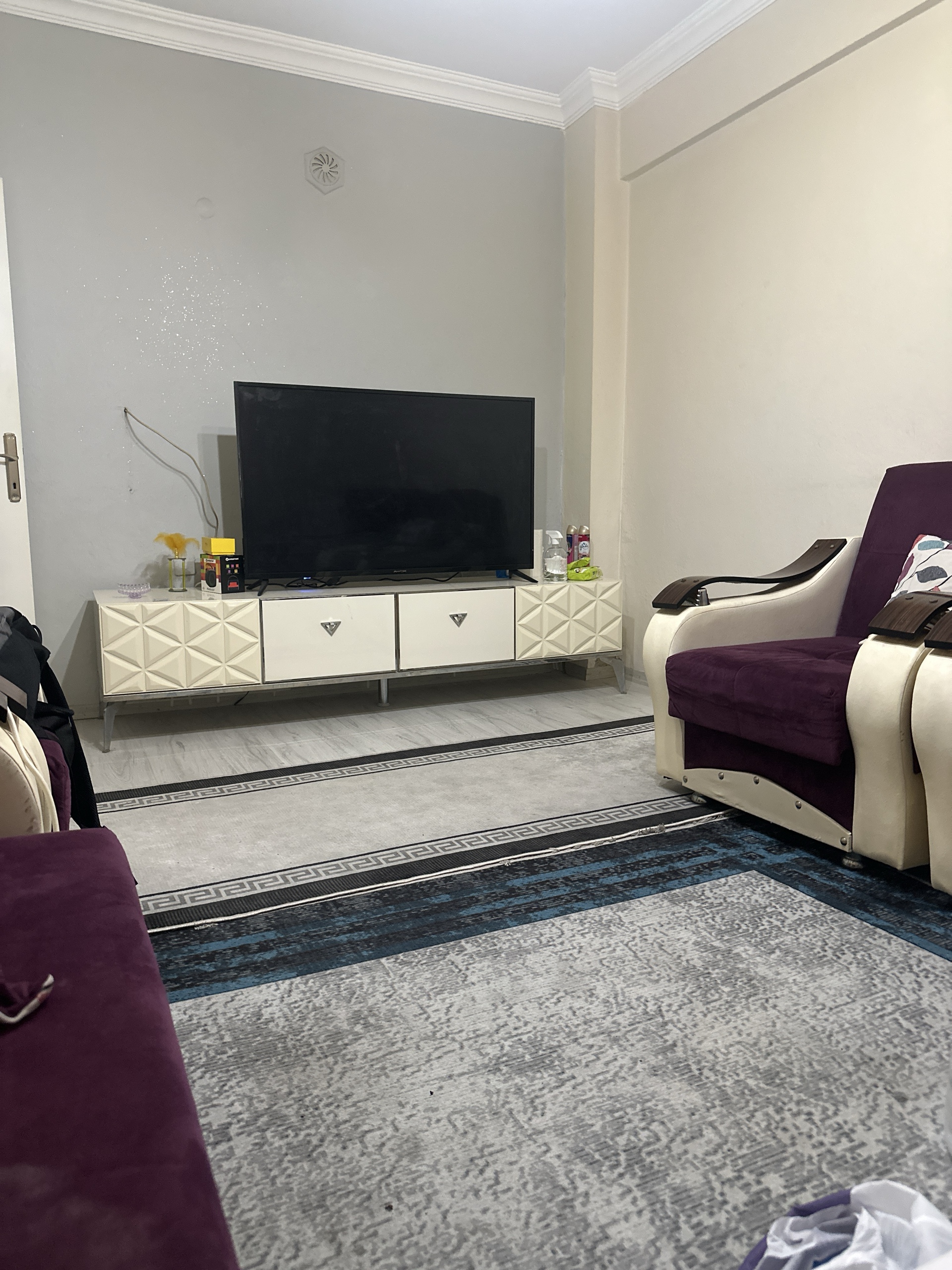 Bayan ev arkadaşı arıyorum