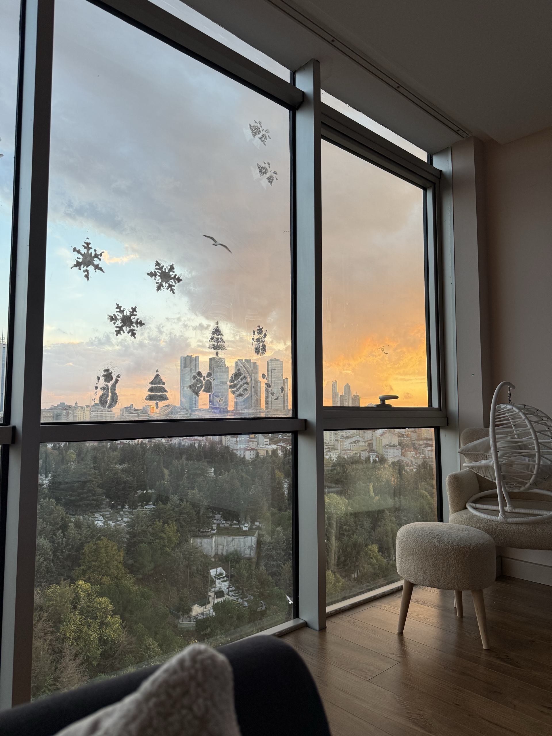 Ev arkadaşı arıyorum