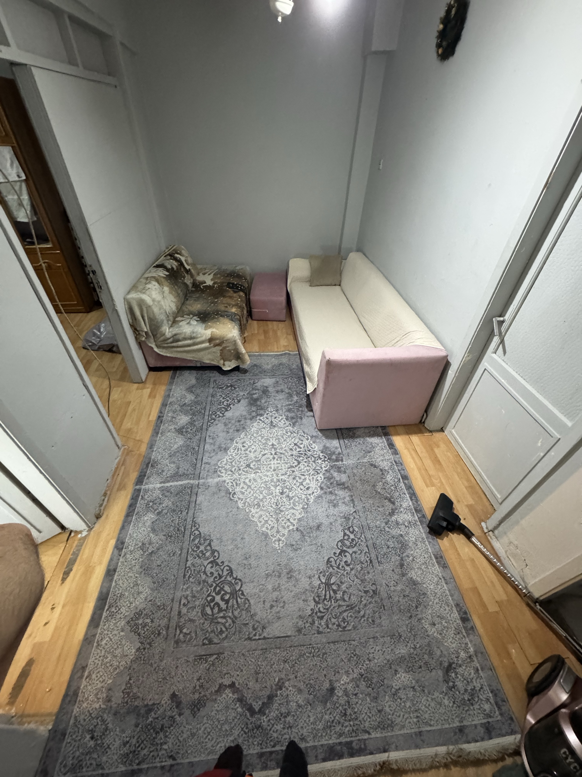 Sorumluluk sahibi ev arkadaşı aranıyor