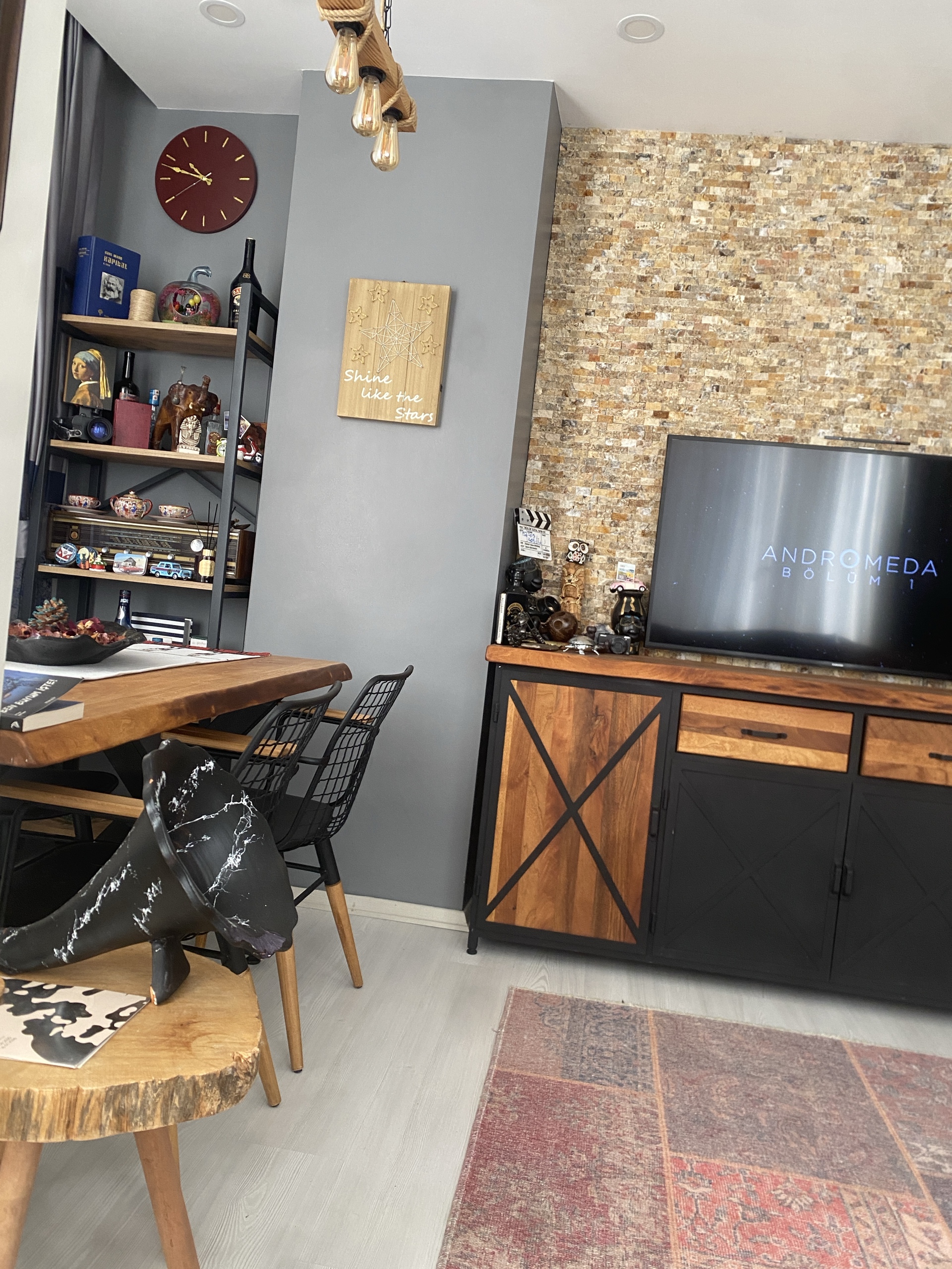 Ev arkadaşı arıyorum