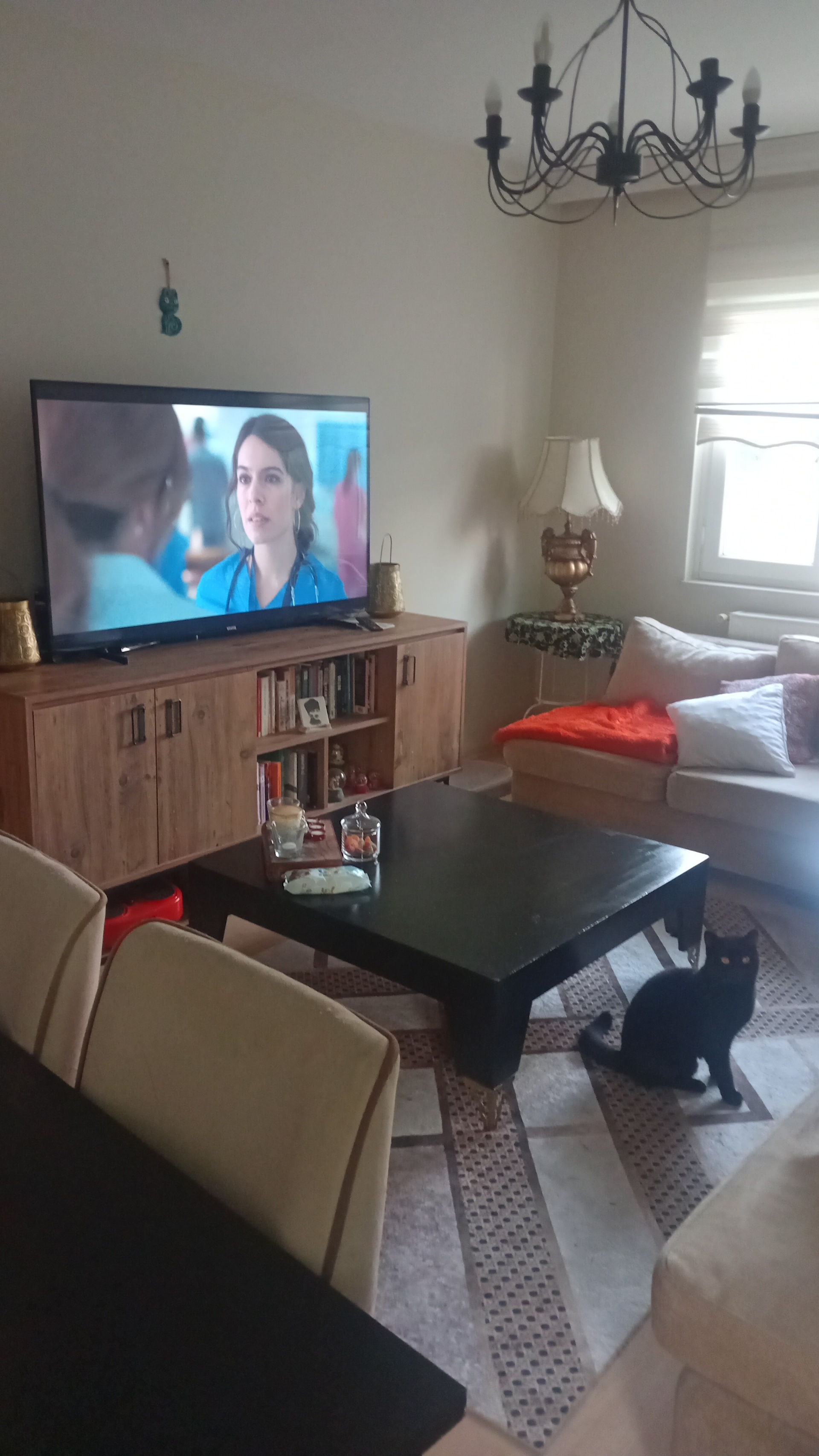 Ev arkadaşı arıyorun