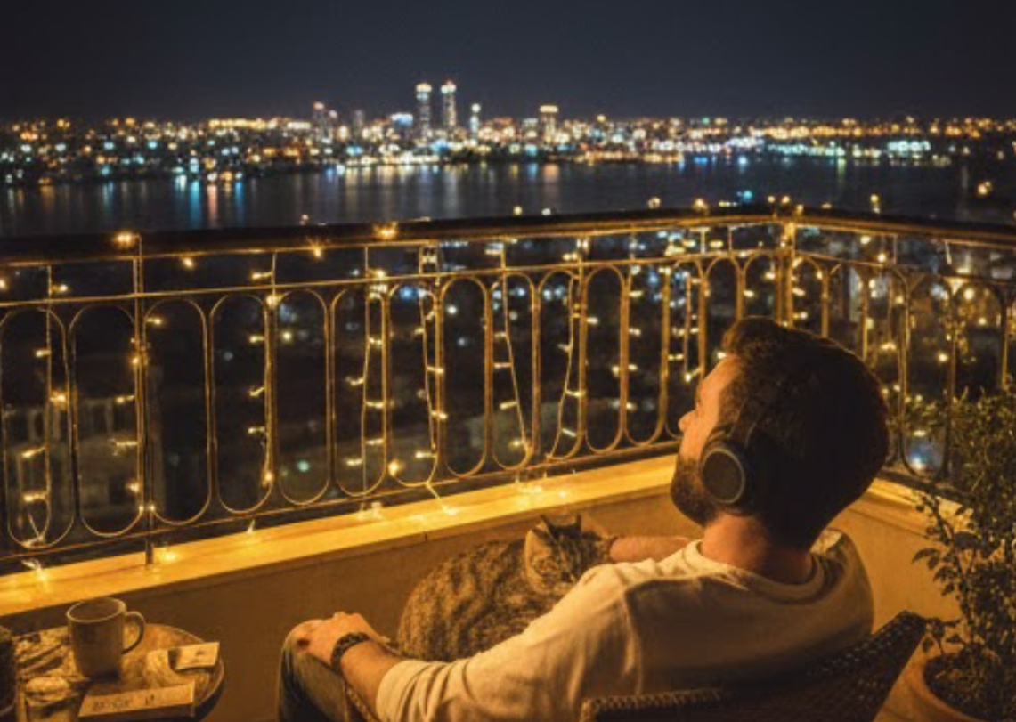 Adana Seyhan'da kedi dostu paylaşımlı ev ya da oda arıyorum sosyal ortam isterim